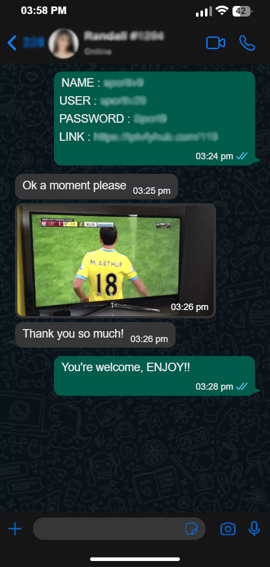 Anchora IPTV customer screenshot